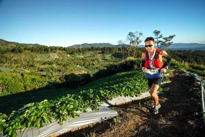 BIB: 7000
                            <button type="button" onclick="openModal(19110173)" class="btn btn-primary btn-sm float-right btn-popup" data-toggle="modal" data-target=".modal-high-quality">
                        <i class="fas fa-shopping-cart"></i> Add to Cart
                    </button>
                                            <button type="button" onclick="isThisMe(19110173, true)" class="btn btn-success btn-sm float-right btn-popup btn-isme hidden" data-toggle="tooltip" data-placement="bottom" title="นี่คือรูปของคุณใช่ไหม คลิกที่นี่เพื่อเอาเข้าอัลบั้ม">
                        <i class="fas fa-plus"></i> Add to album
                    </button>
                    <button type="button" onclick="isThisMe(19110173, false)" class="btn btn-warning btn-sm float-right btn-popup btn-isnotme hidden">
                        <i class="fas fa-ban"></i> Remove from album
                    </button>